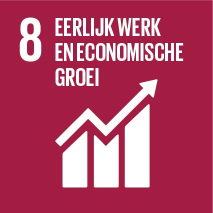 Logo SDG 8